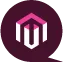 eCommerce Websites