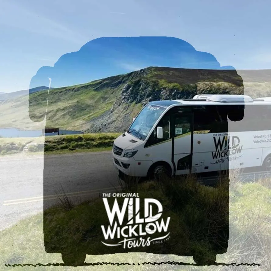 Wild Wicklow Feature Image Fcdm
